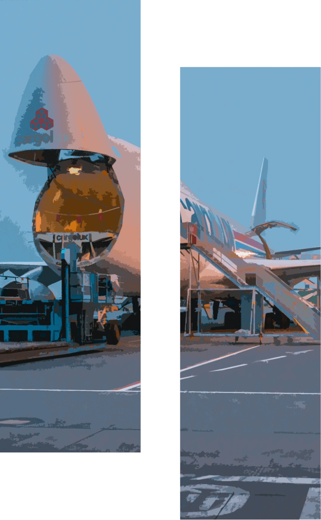 Avion Cargo utilisé pour le transport d'oeuvre d'art par Fortius