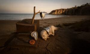 Controlled humidity: The foundation of long-term Fine Art Storage